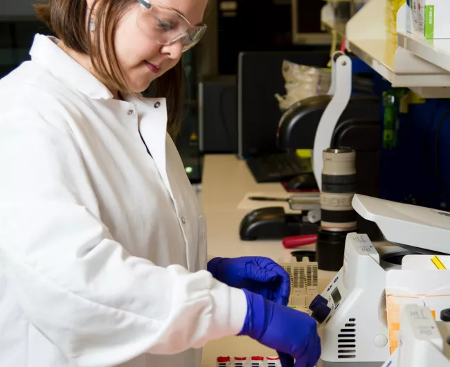female scientists in blue gloves preparing samples