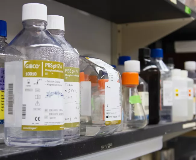 liquid meds on a laboratory shelf