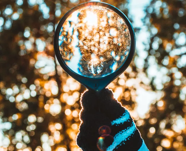 magnifying glass finds light behind trees